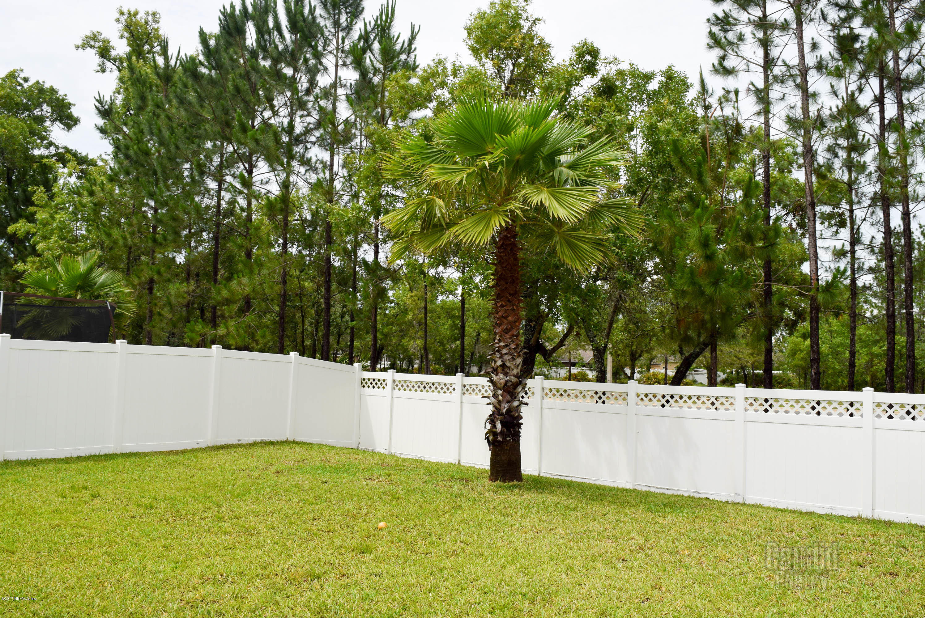 3818 Chasing Falls Road Orange Park, FL 32065 - Photo 60 of 65 DSC_0133