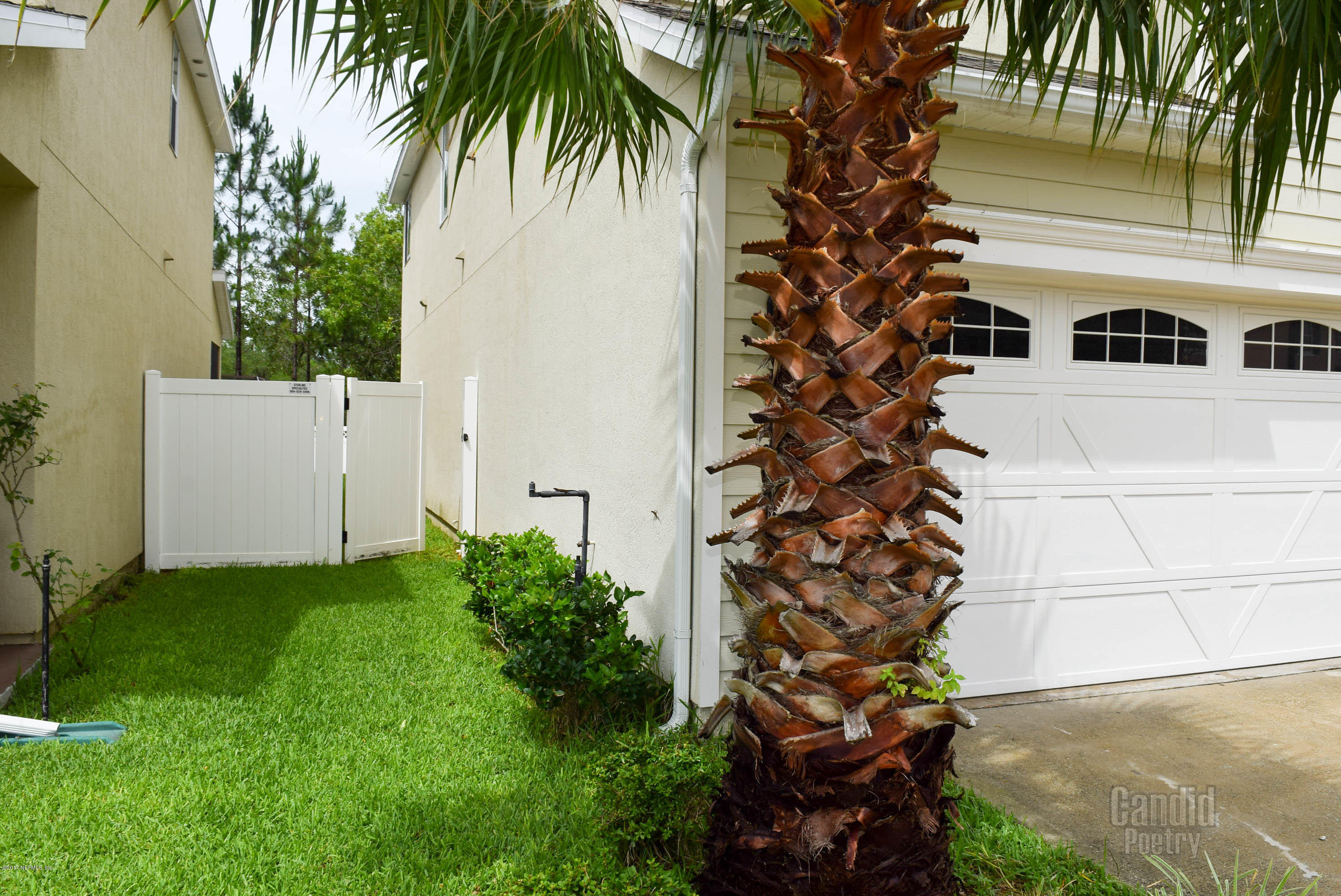 3818 Chasing Falls Road Orange Park, FL 32065 - Photo 61 of 65 DSC_0140