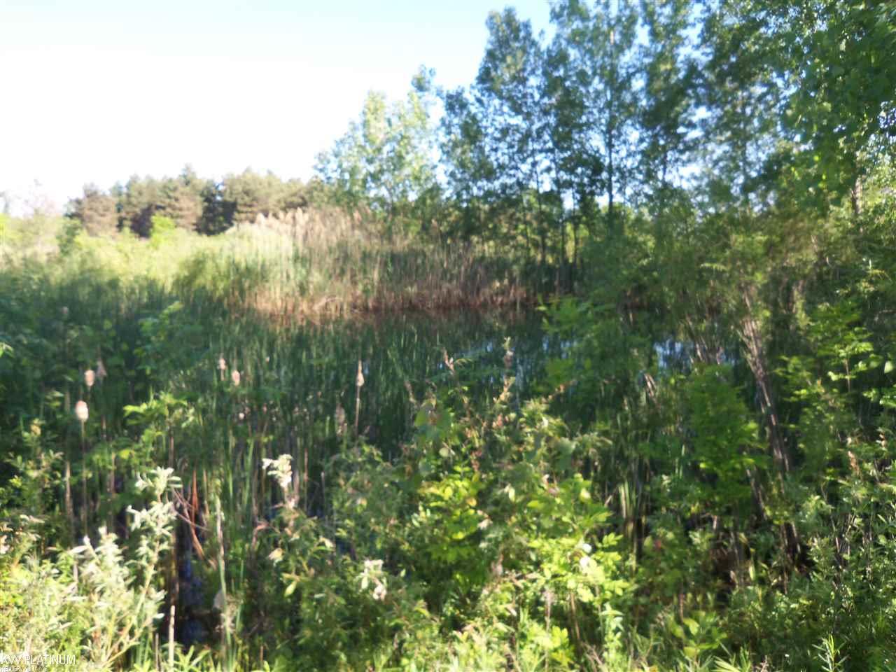 5778 McIntyre Road North Street, MI 48049 - Photo 10 of 31