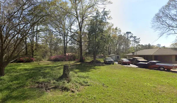 a view of a park with large trees