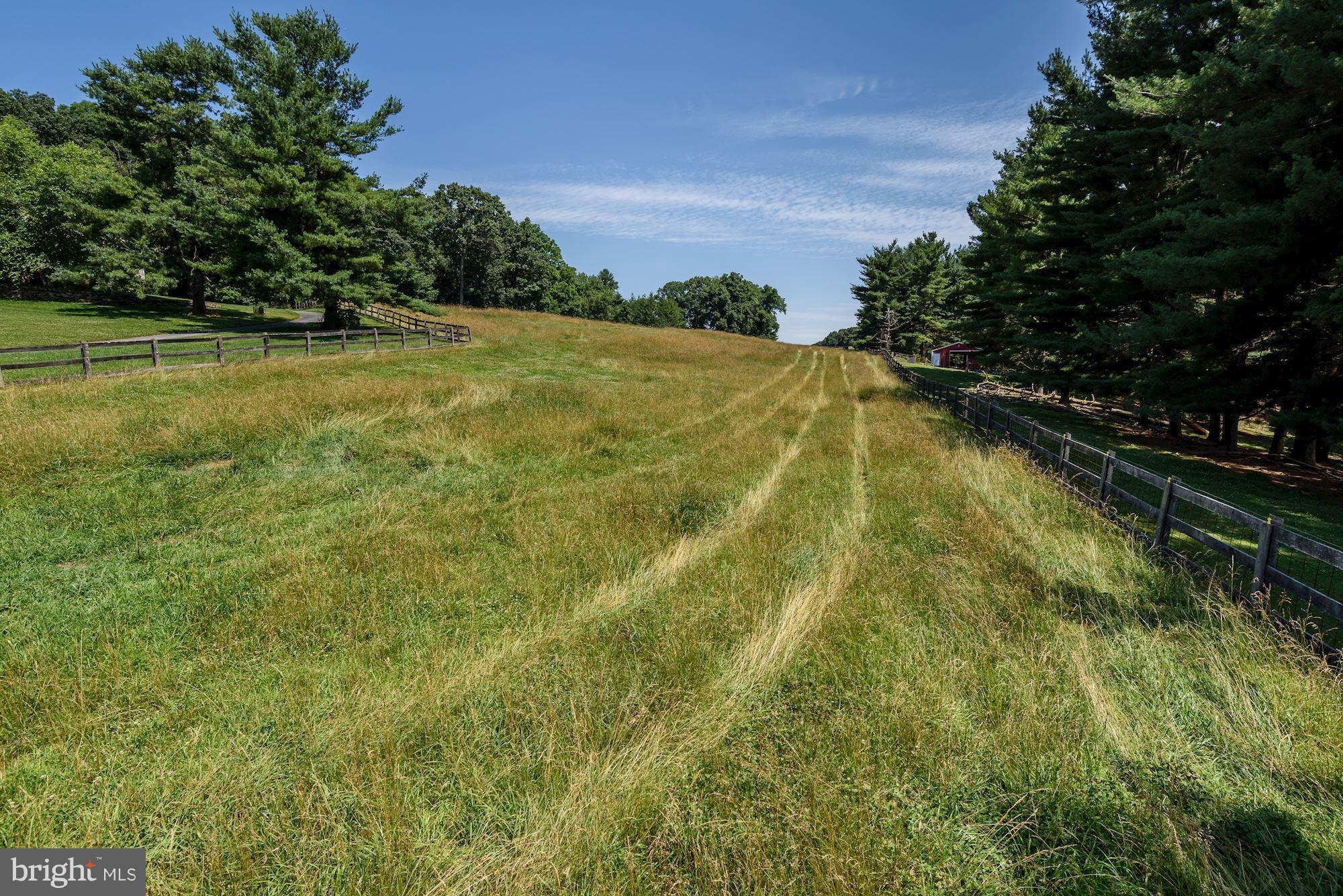 3000 Hoffman Mill Road Hampstead, MD 21074 - Photo 22 of 30 Pasture