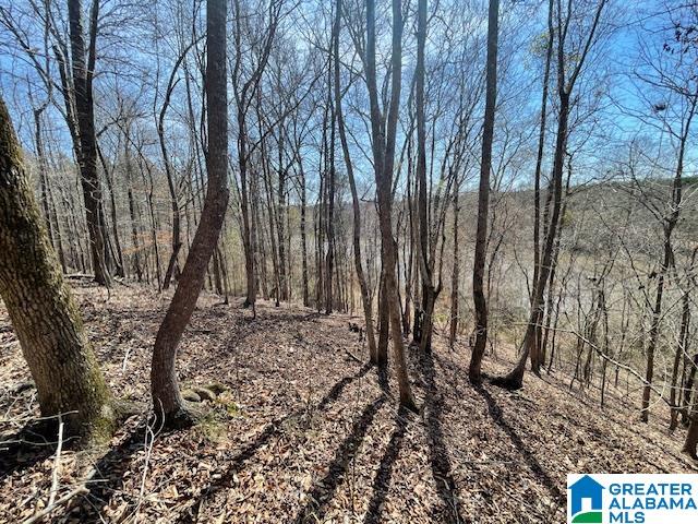 140 County Road, Unit 44 22± AC Wadley, AL 36276 - Photo 4 of 11