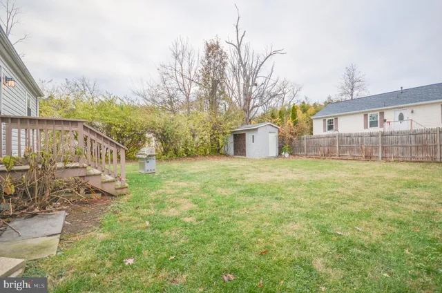 a view of a yard in front of a house with a large tree