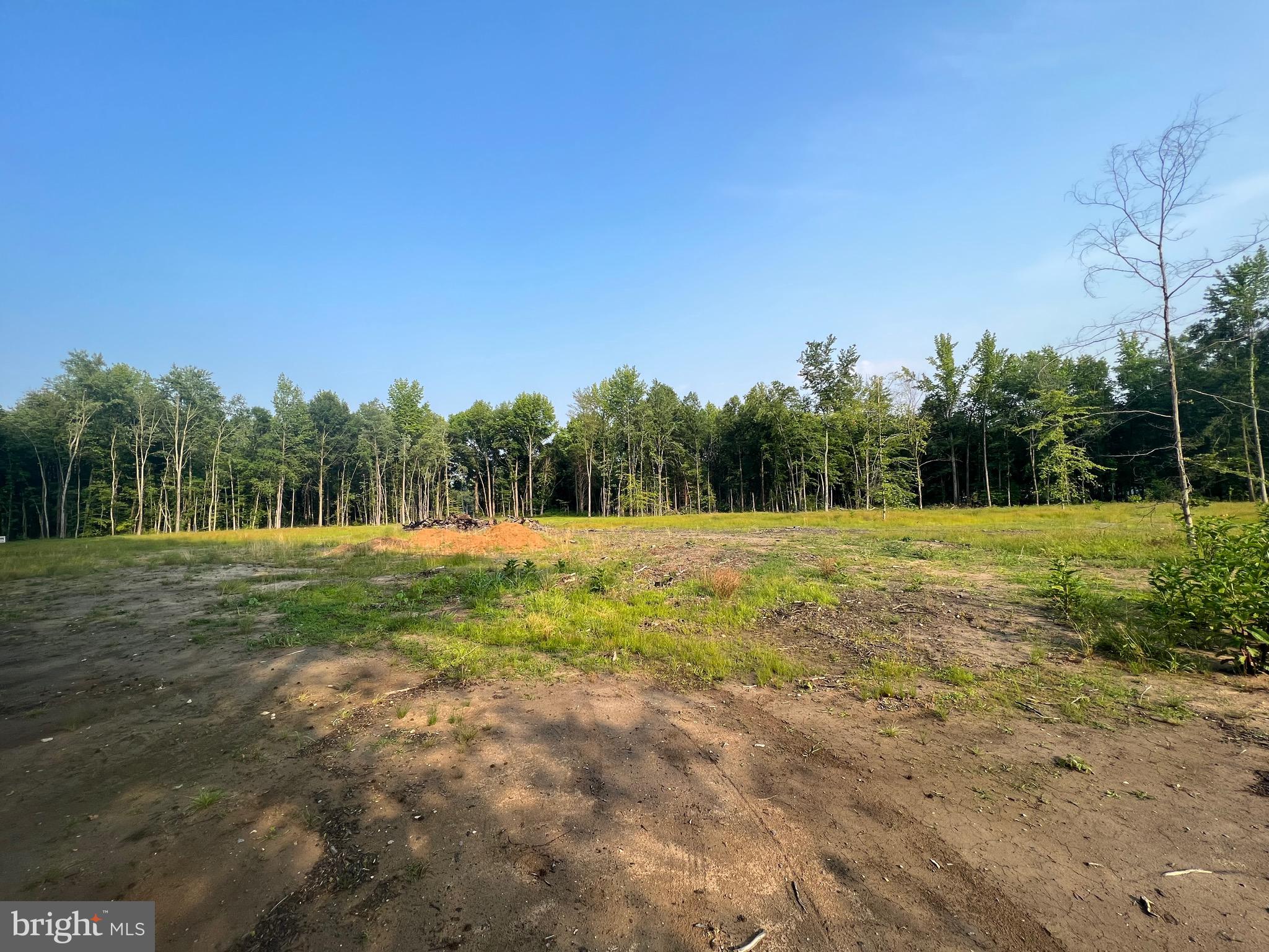 0 Lot 3 Downs Chapel Road Clayton, DE 19938 - Photo 4 of 6