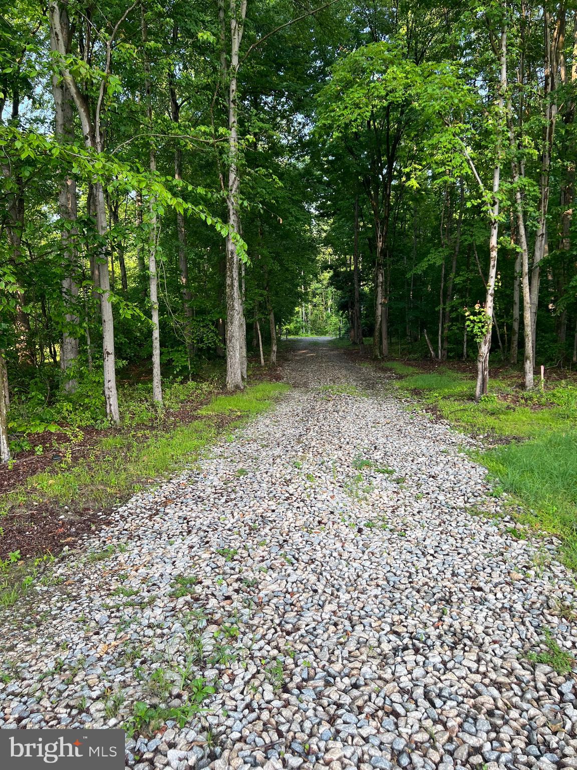 0 Lot 3 Downs Chapel Road Clayton, DE 19938 - Photo 5 of 6