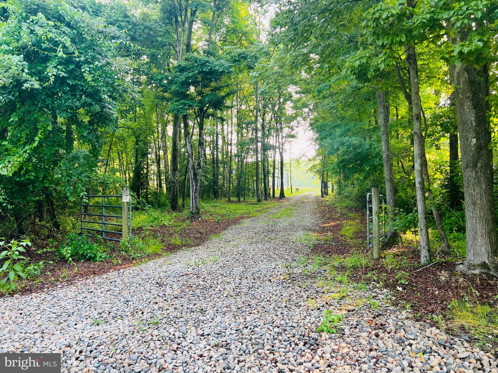 0 Lot 3 Downs Chapel Road Clayton, DE 19938 - Photo 6 of 6