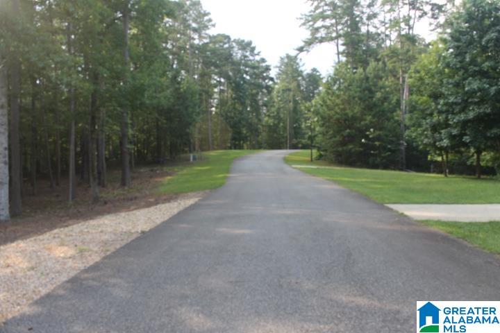0 Red Cedar Drive, Unit 121 Wedowee, AL 36278 - Photo 18 of 21