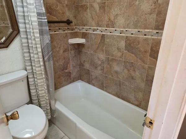 a bathroom with a toilet and a bathtub