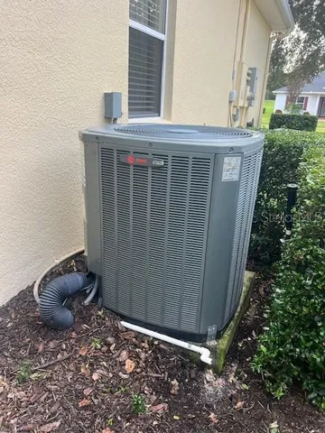 a sign of golf club on a wall under a tree