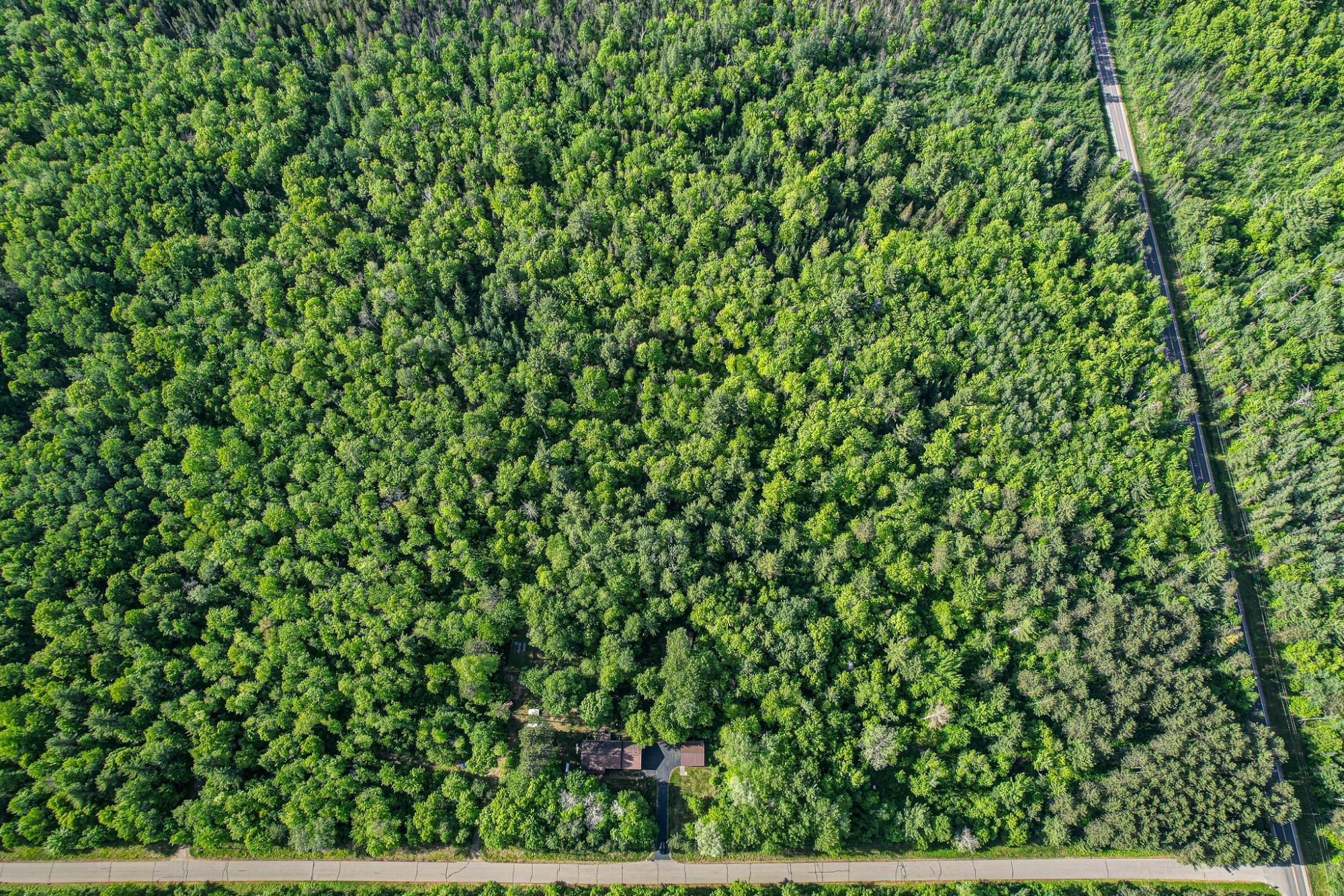 W6542 Milky Road Tomahawk, WI 54487 - Photo 57 of 63 Gallery Image 57