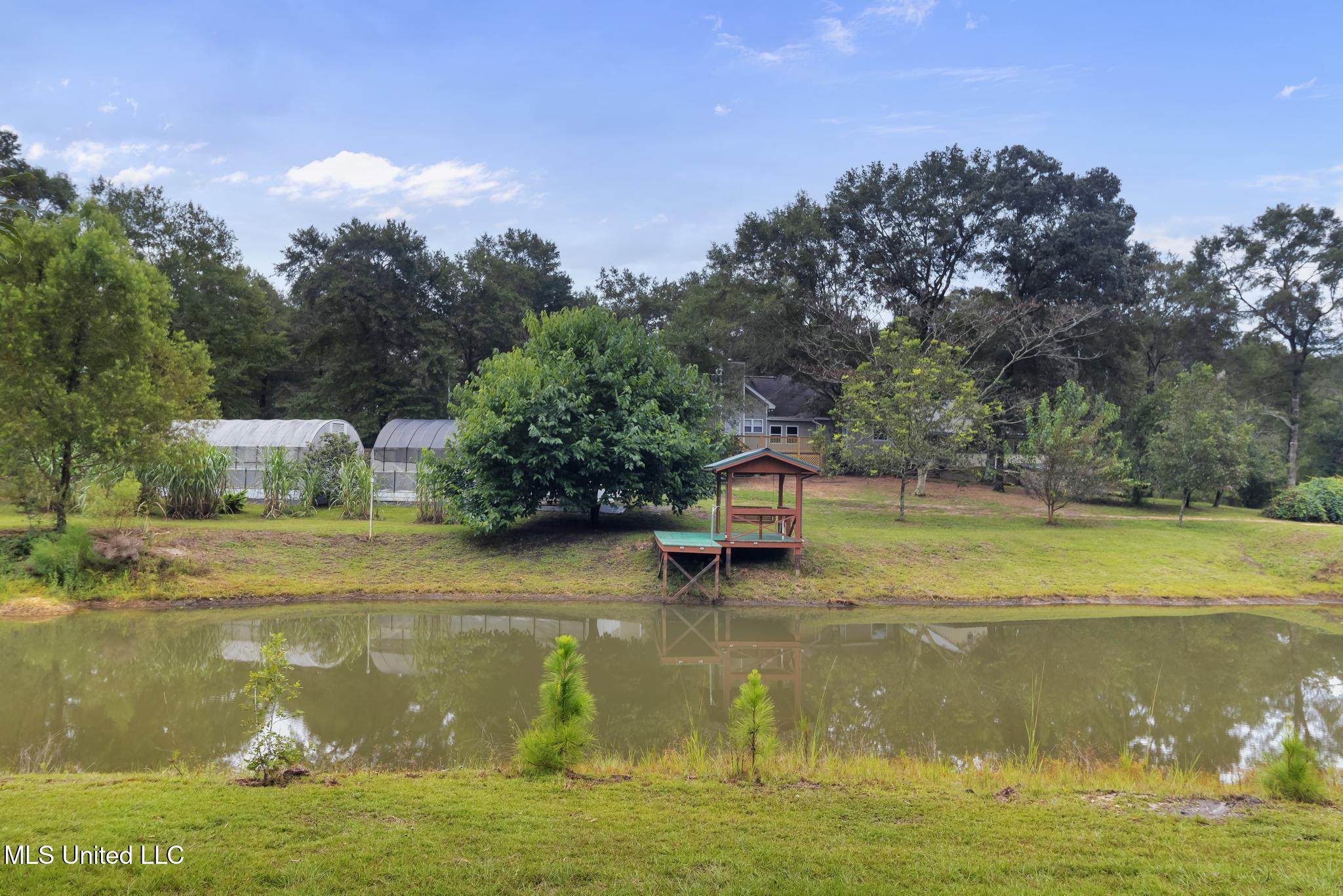 42 Boone Road Perkinston, MS 39573 - Photo 64 of 67 IMG_7672