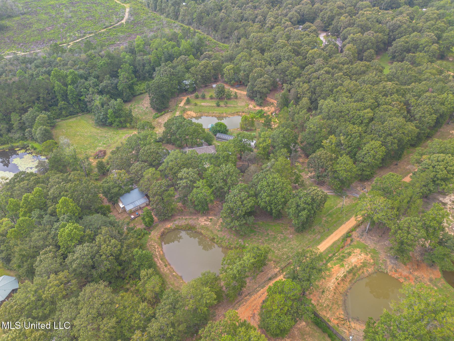 42 Boone Road Perkinston, MS 39573 - Photo 66 of 67 42-5