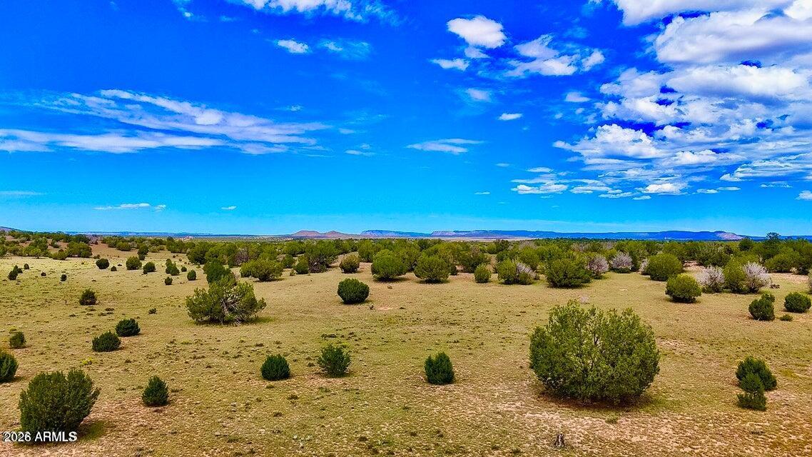 0 Dusty Rose Ranch Seligman, AZ 86337 - Photo 9 of 20 20260914065912119031000000-o