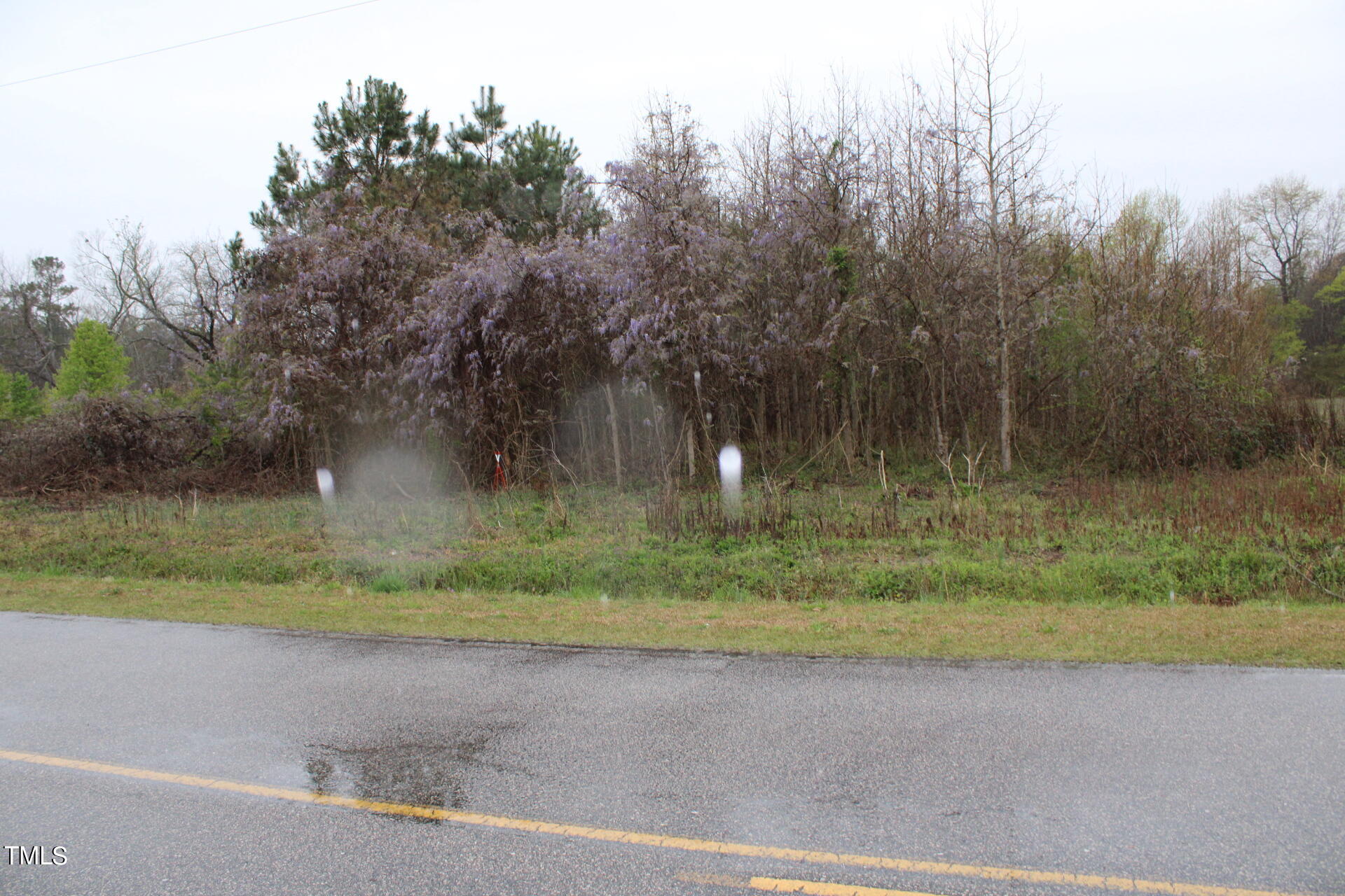 A Drake Road Battleboro, NC 27809 - Photo 1 of 17 IMG_1156