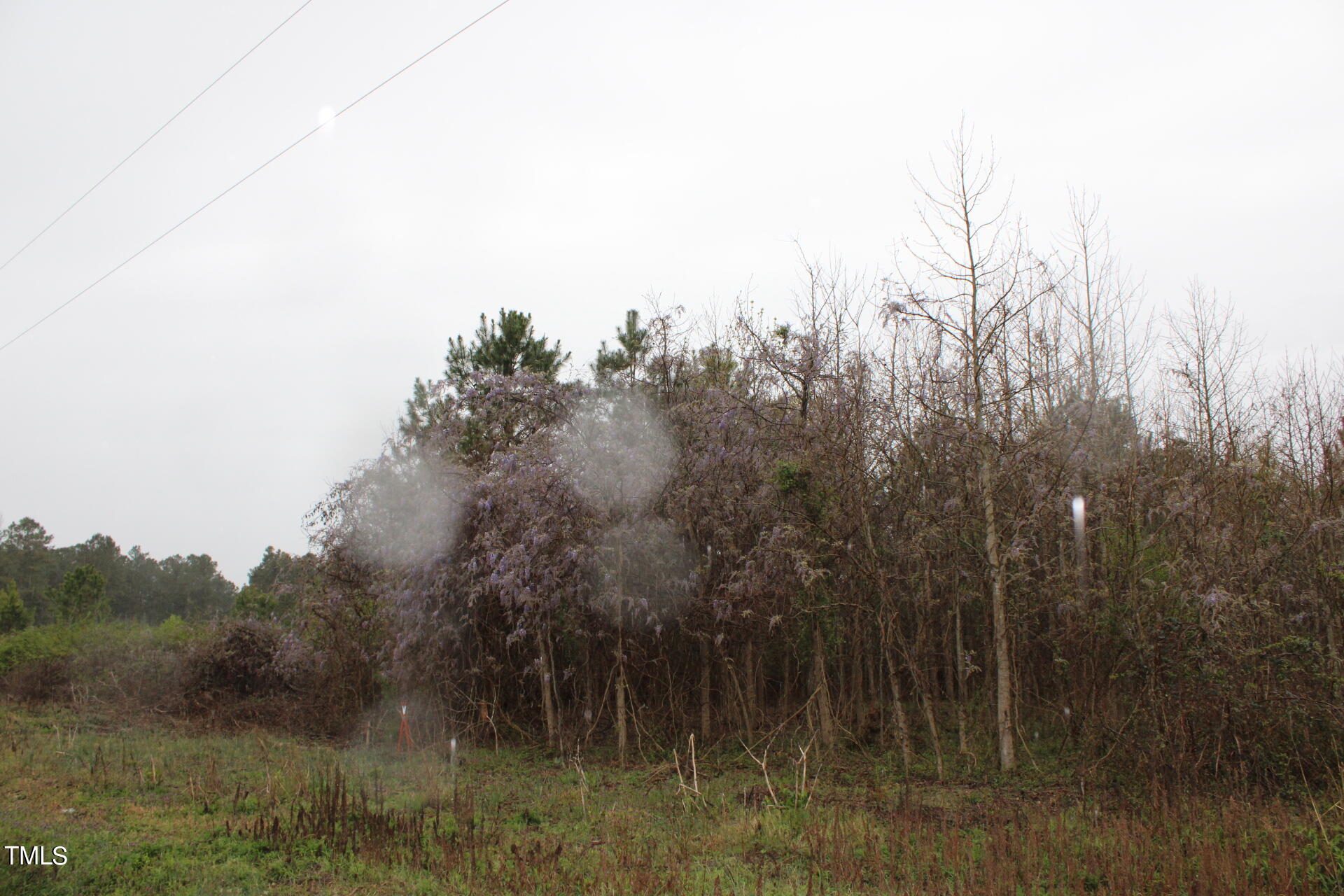 A Drake Road Battleboro, NC 27809 - Photo 11 of 17 IMG_1164