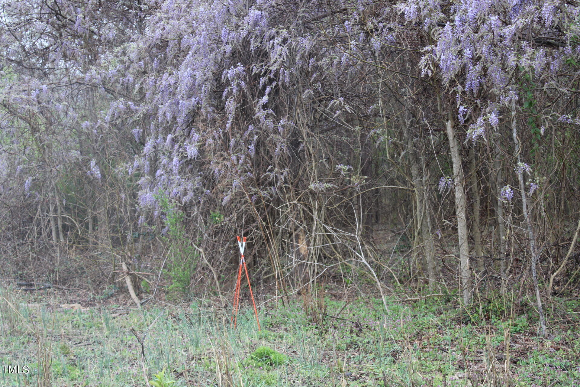 A Drake Road Battleboro, NC 27809 - Photo 16 of 17 IMG_1169