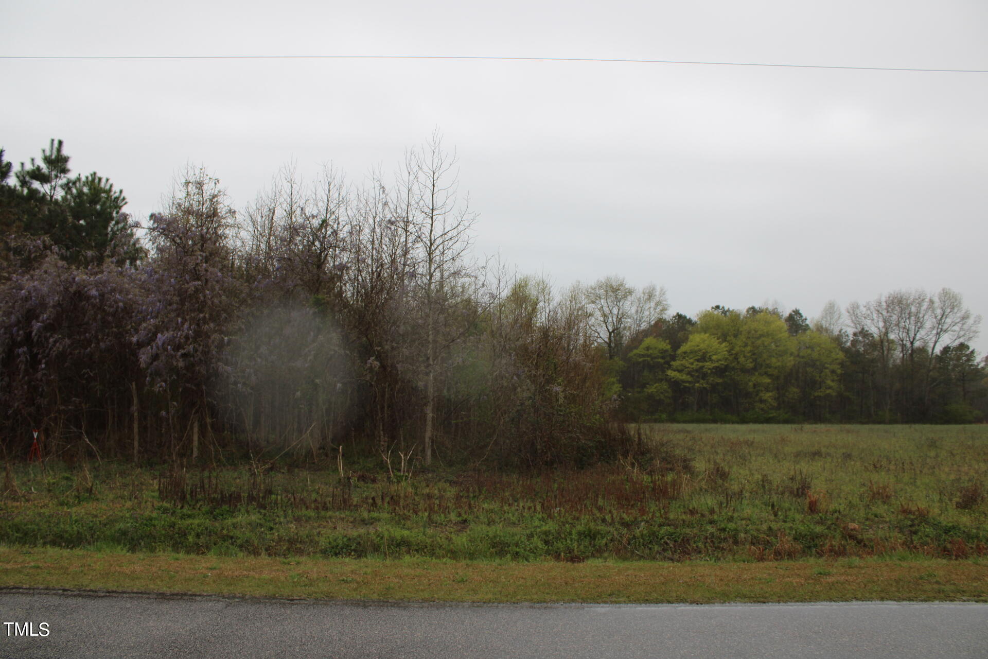 A Drake Road Battleboro, NC 27809 - Photo 6 of 17 IMG_1159