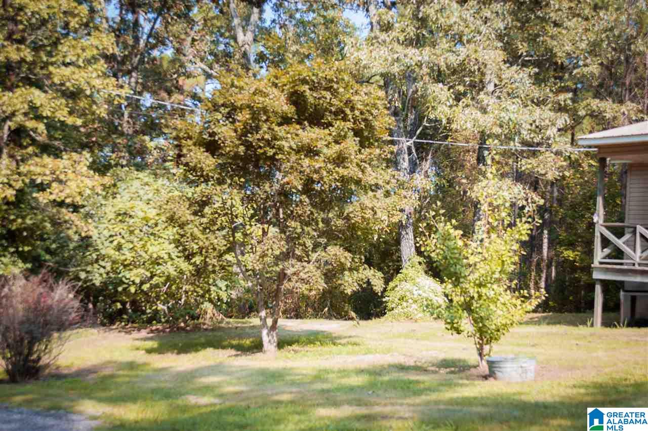 1054 Florida Road Pell City, AL 35125 - Photo 7 of 19