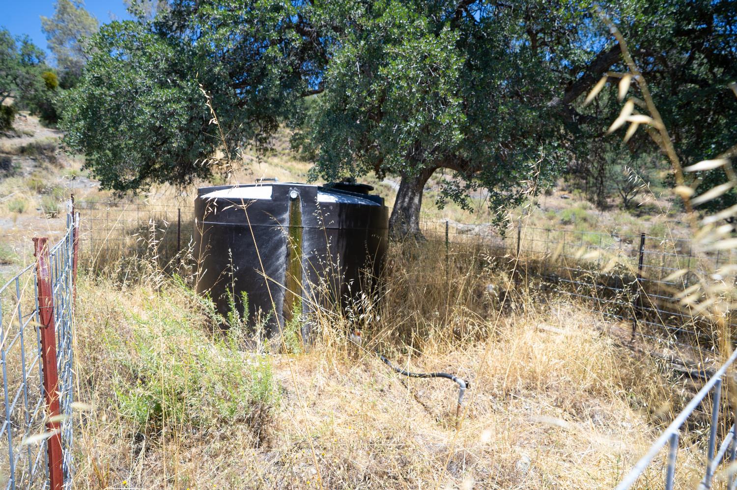 20505 Coalinga Road Paicines, CA 95043 - Photo 38 of 88