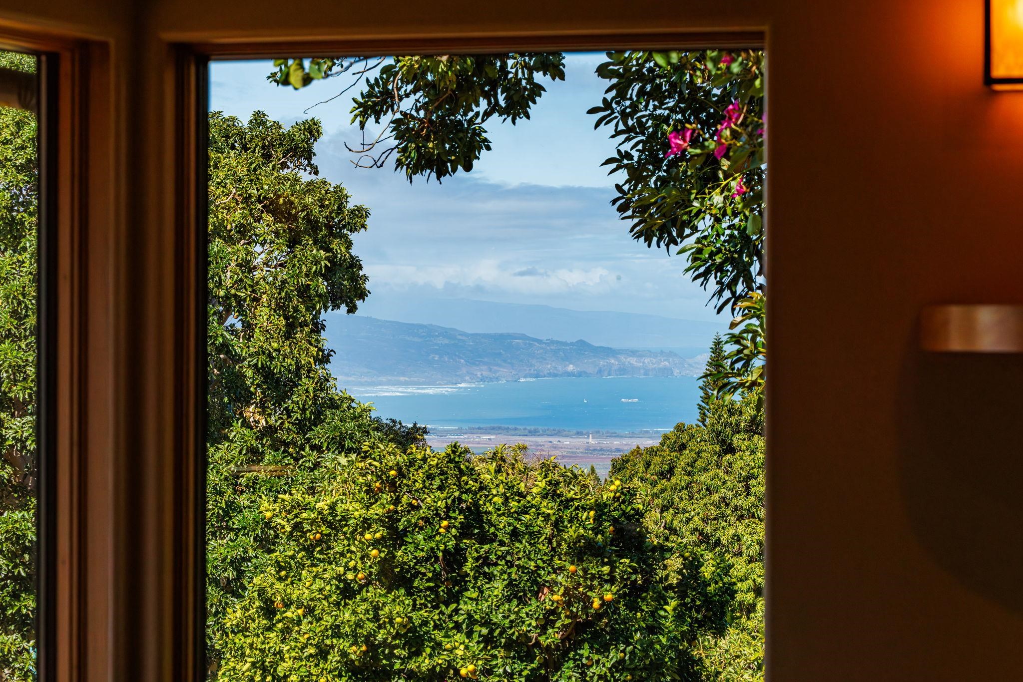 50 Poha Place Makawao, HI 96768 - Photo 16 of 50