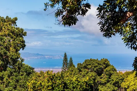 a bedroom with wooden floor