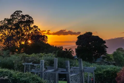 a view of a house with a backyard space and garden