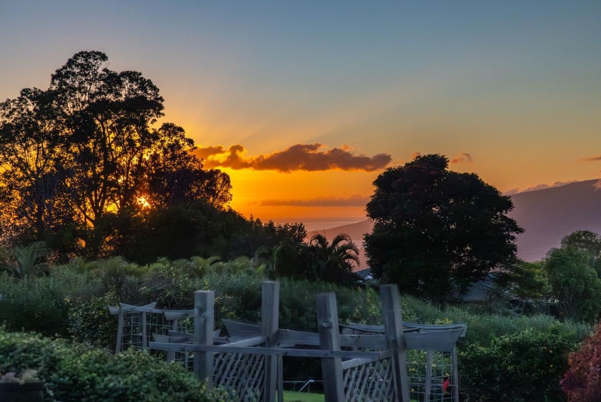 50 Poha Place Makawao, HI 96768 - Photo 2 of 50 a view of a house with a backyard space and garden