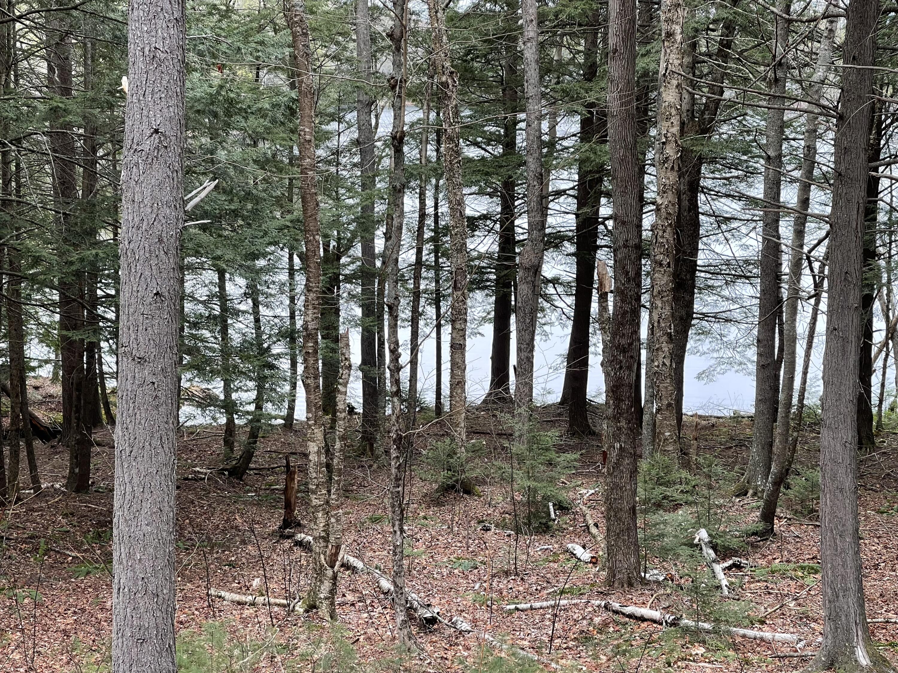 0 Wood Road Jefferson, ME 04348 - Photo 9 of 14