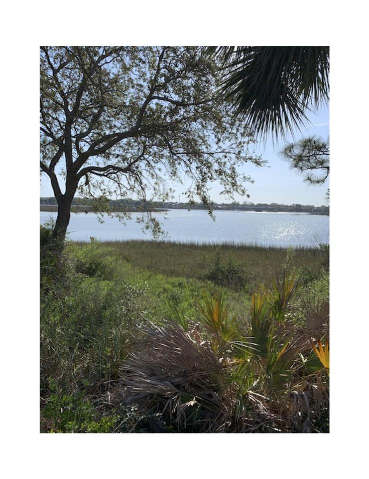 3223 Haley Pointe Road, Unit 223 St. Augustine, FL 32084 - Photo 14 of 16