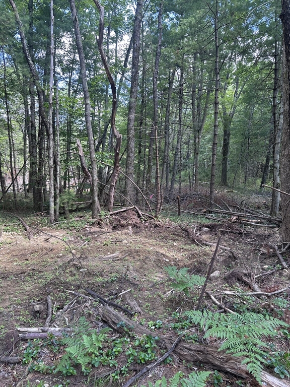 Lot 14 Baldwinville State Road Winchendon, MA 01475 - Photo 4 of 6 a view of a forest with trees