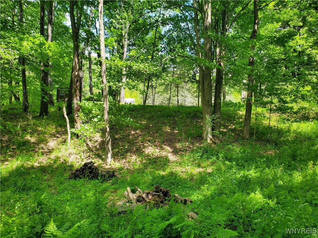 7200 Kent Road Little Valley, NY 14755 - Photo 28 of 43