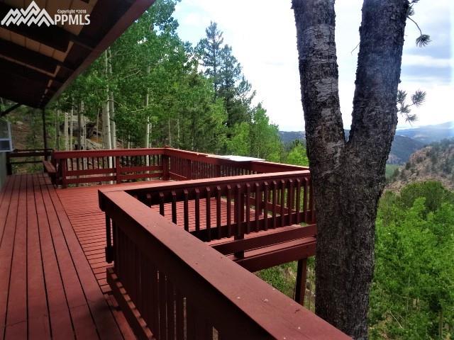 137 Blue Spruce Road Divide, CO 80814 - Photo 26 of 31 Gallery Image 26