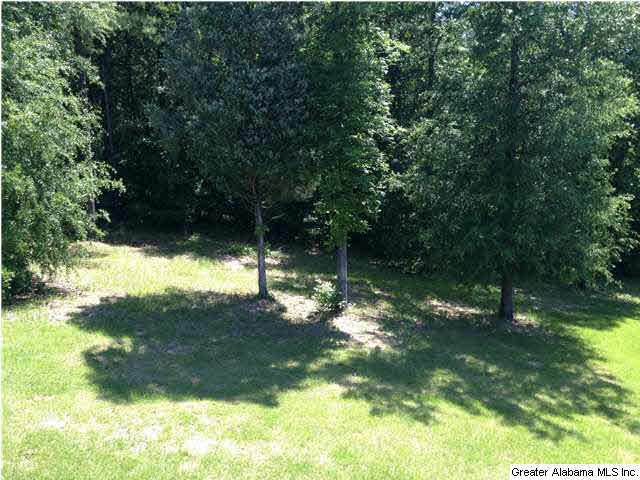 288 Cedar Springs Road West Blocton, AL 35184 - Photo 24 of 27