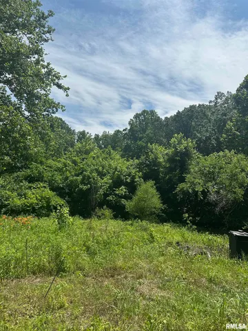 $29,000 | 585 Berryville Road, Jonesboro, IL 62952