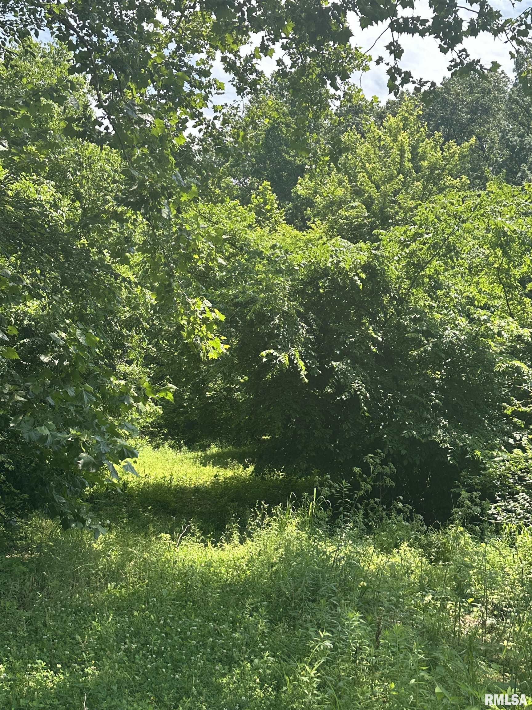 585 Berryville Road Jonesboro, IL 62952 - Photo 6 of 6