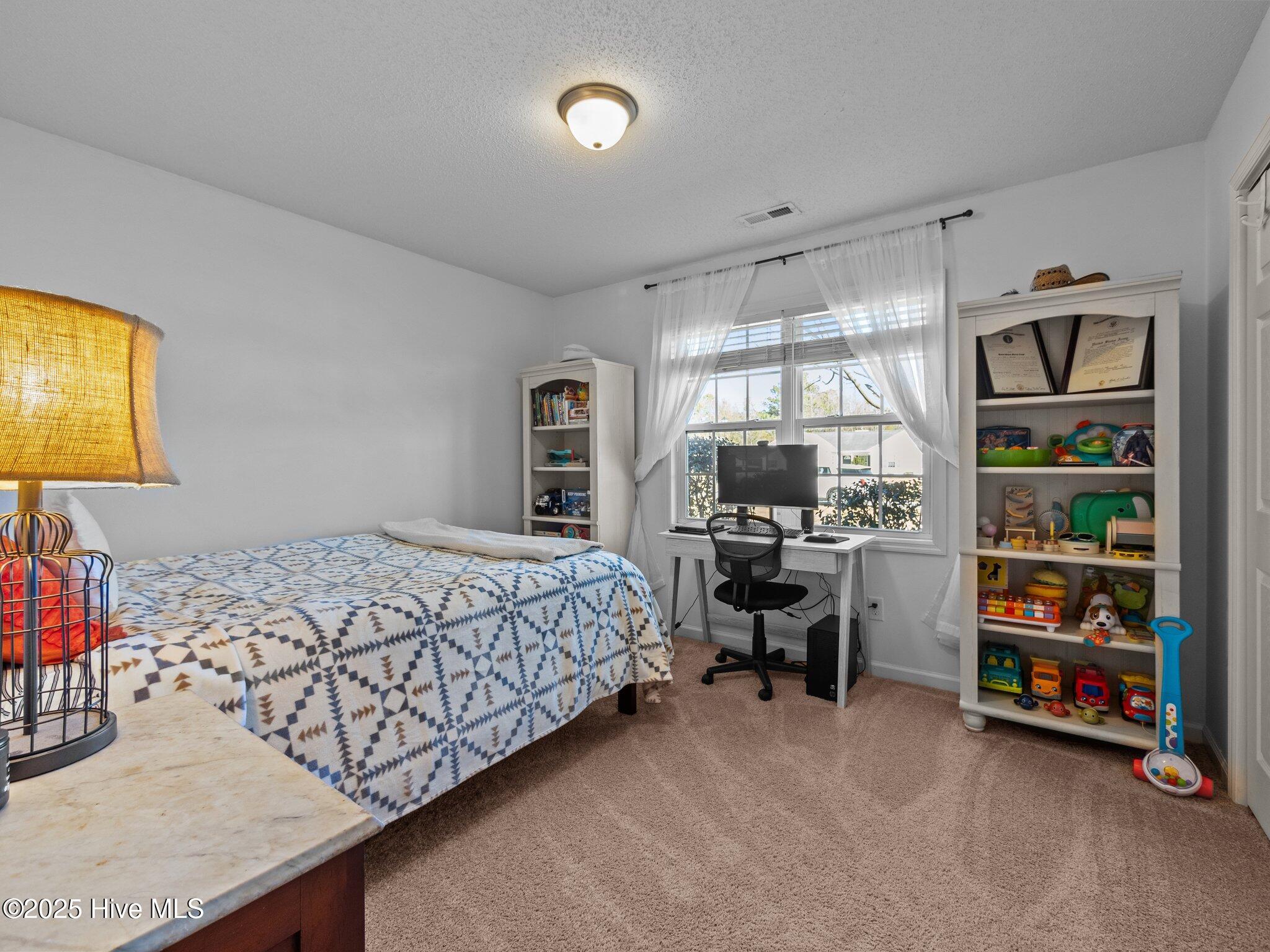 314 Top Knot Road Hubert, NC 28539 - Photo 24 of 39 15-web-or-mls-P1286797
