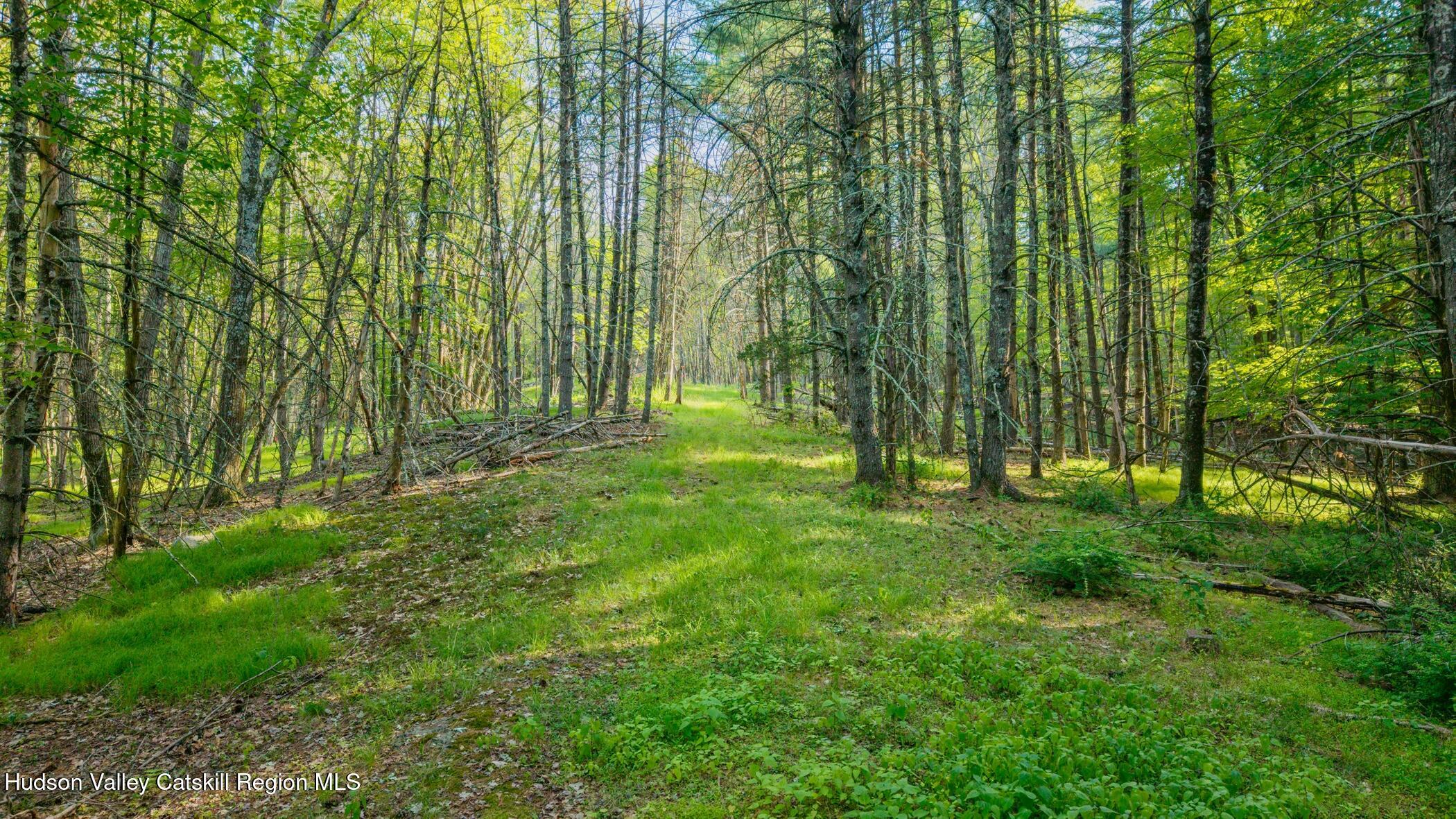4533 Atwood Road Stone Ridge, NY 12484 - Photo 55 of 63 a view of outdoor space