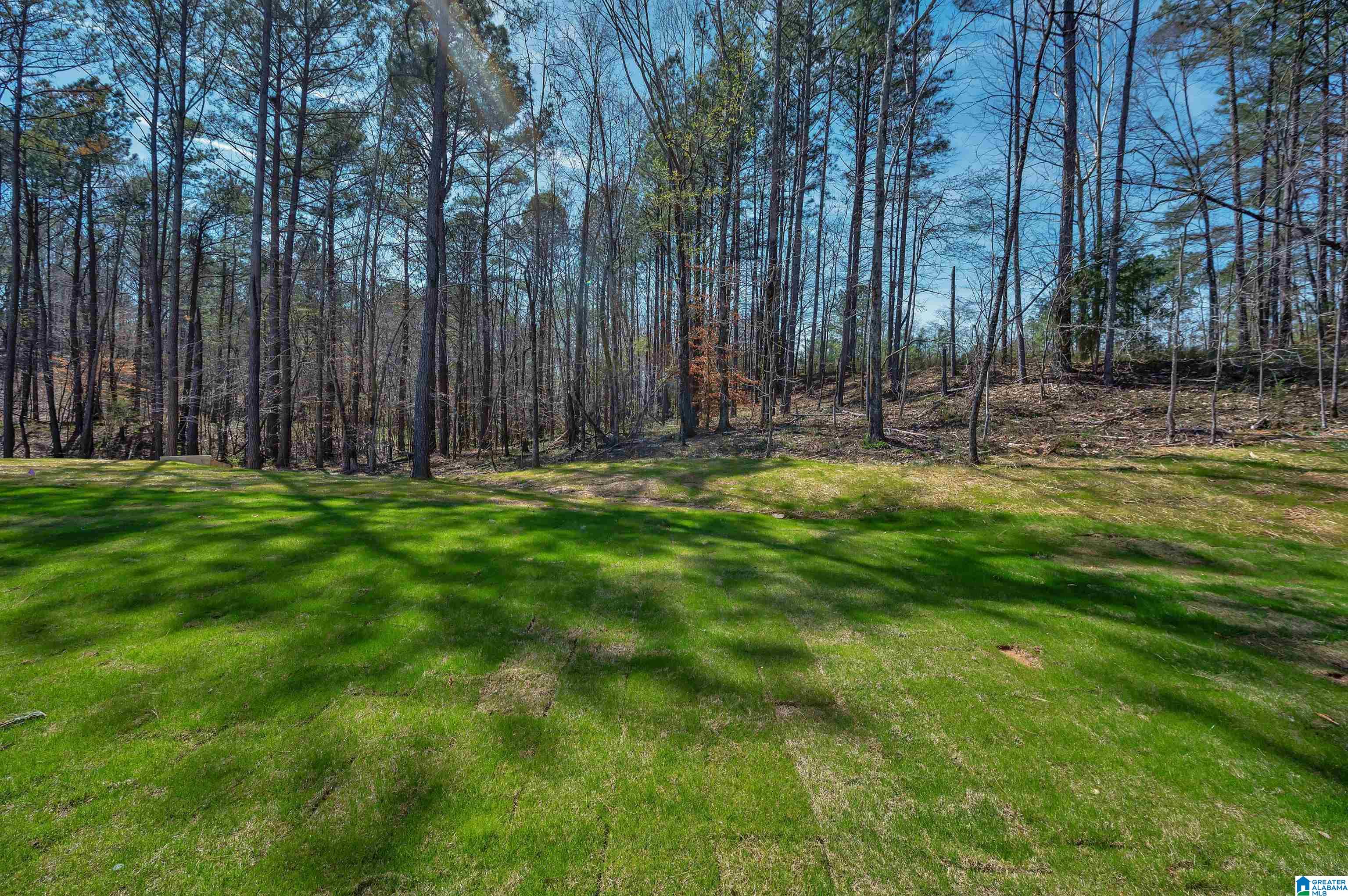 261 Henley Way Helena, AL 35080 - Photo 50 of 50