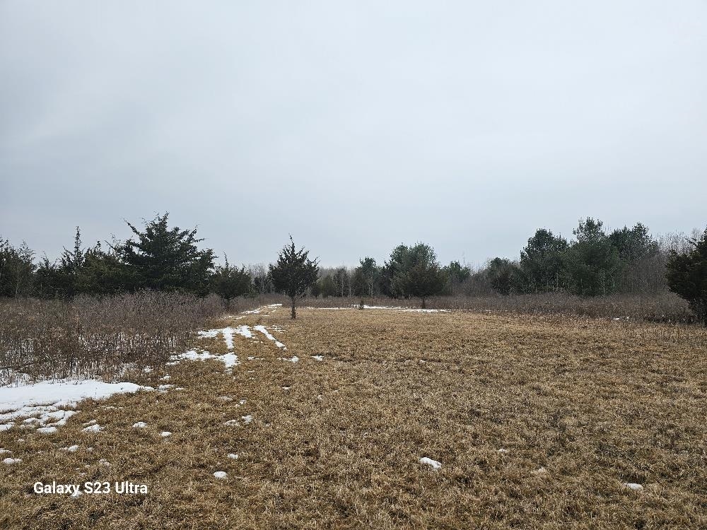 Three 3 Rivers Road Gladwin, MI 48624 - Photo 5 of 13