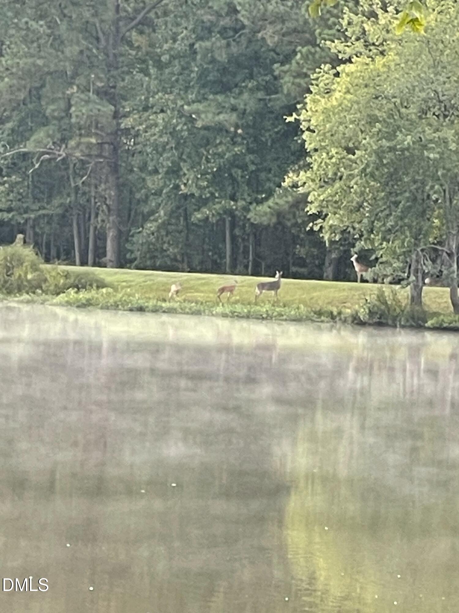 735 Cross Link Drive Angier, NC 27501 - Photo 46 of 73 IMG_8179