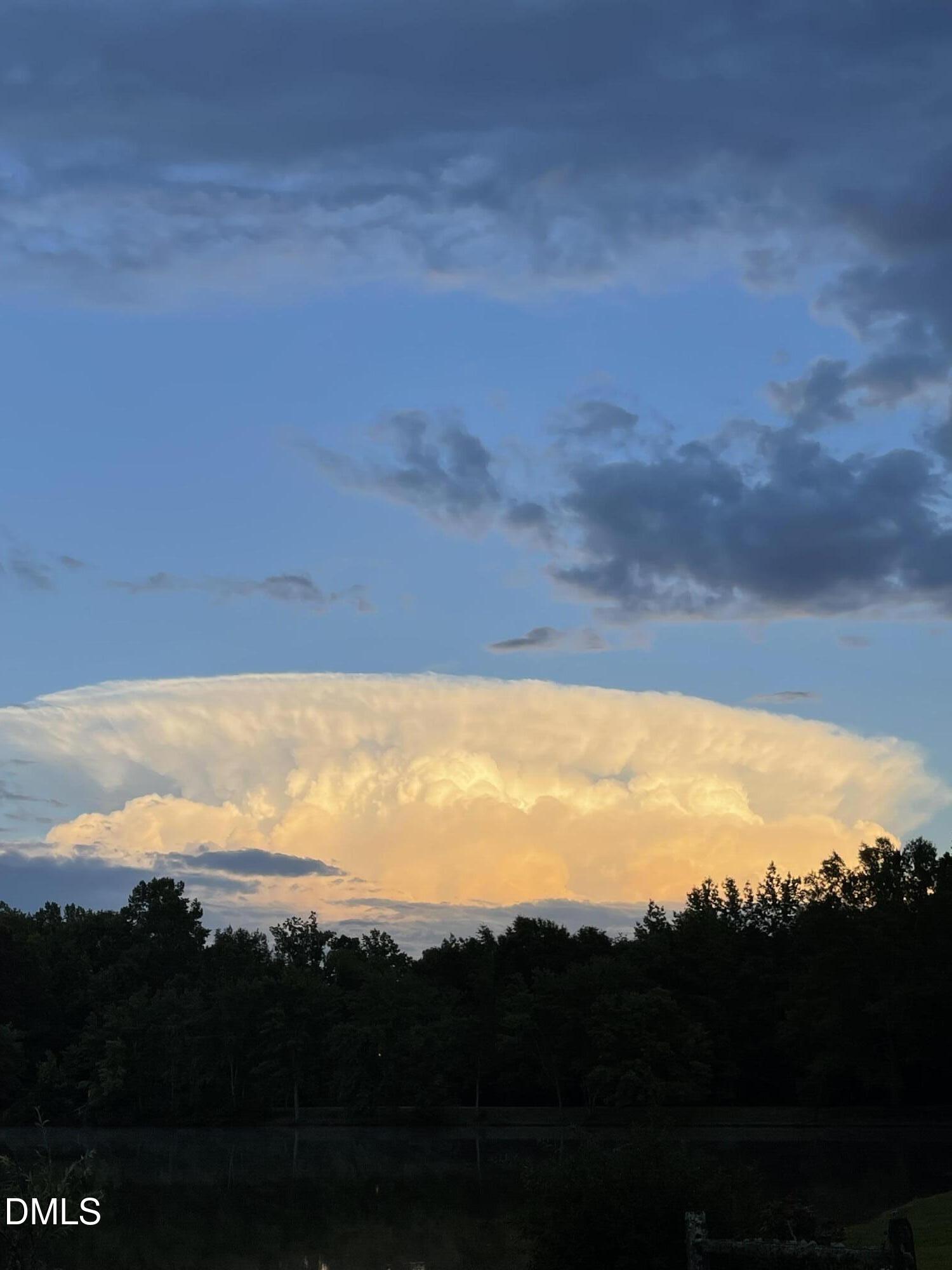 735 Cross Link Drive Angier, NC 27501 - Photo 47 of 73 IMG_6716