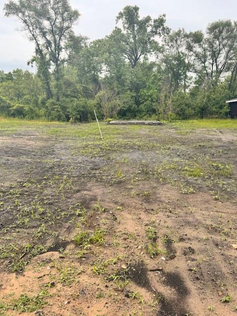 2357 West 9th Avenue Gary, IN 46404 - Photo 2 of 2 a view of a field with trees in the background