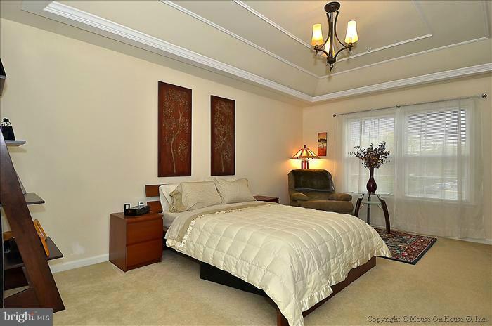 2104 Clark Place, Unit 61 Silver Spring, MD 20910 - Photo 12 of 13 Master Bedroom with Trey Ceiling