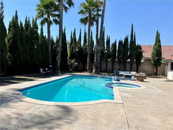 a view of a swimming pool with palm trees