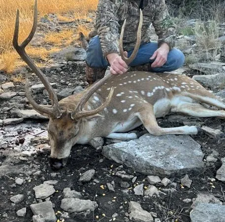 $290,950 | 0 Cr 310 Rocksprings Tx 78880, Rocksprings, TX 78880