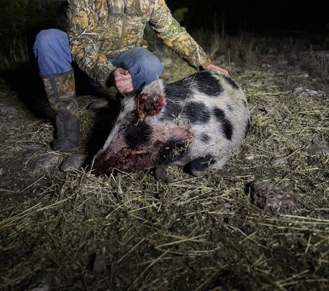 0 Cr 310 Rocksprings Tx 78880 Rocksprings, TX 78880 - Photo 11 of 23