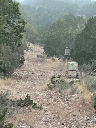 $290,950 | 0 Cr 310 Rocksprings Tx 78880, Rocksprings, TX 78880