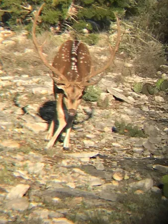 $290,950 | 0 Cr 310 Rocksprings Tx 78880, Rocksprings, TX 78880