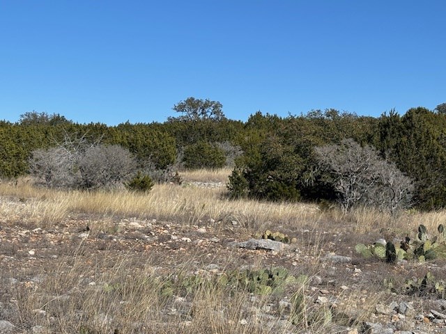0 Cr 310 Rocksprings Tx 78880 Rocksprings, TX 78880 - Photo 15 of 23