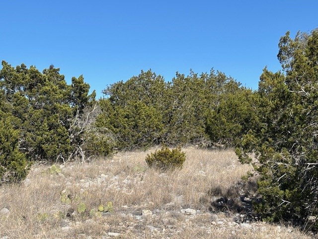 0 Cr 310 Rocksprings Tx 78880 Rocksprings, TX 78880 - Photo 16 of 23